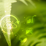 Fernando Trabach afirma que investir em fontes renováveis é essencial para cumprir compromissos globais de redução de carbono.