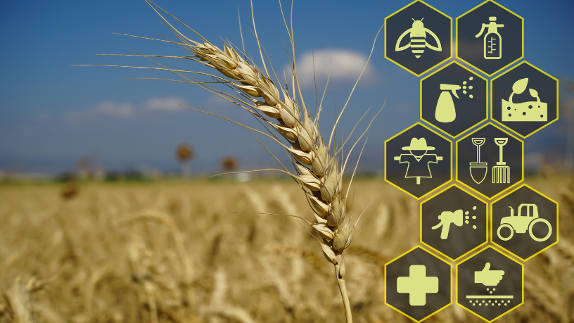 Logística eficiente começa com dados — como reforça Aldo Vendramin no cenário do agro digital.

