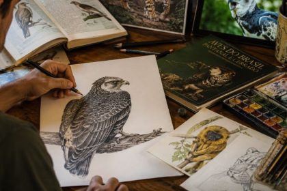 Ilustração biológica em São Paulo: como a arte e o conhecimento científico se encontram no desenho da fauna