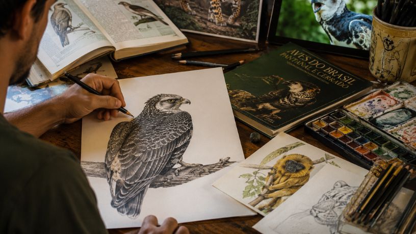 Ilustração biológica em São Paulo: como a arte e o conhecimento científico se encontram no desenho da fauna